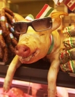 Pig_adorned_with_sunglasses_and_framed_with_Mexican_flag_at_Maza